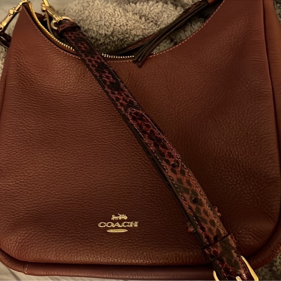 Coach Jules - Picture 2 of 3